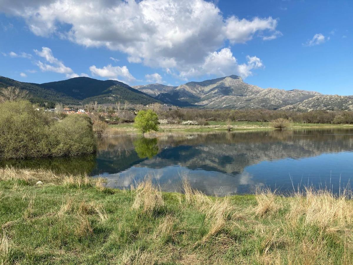 Willa Los Cedros, Gran Chalet Con Piscina Y Apartamento En Navacerrada Zewnętrze zdjęcie